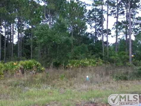 Lucy Ln S Lot 6 & 7, Panacea, FL 32346 