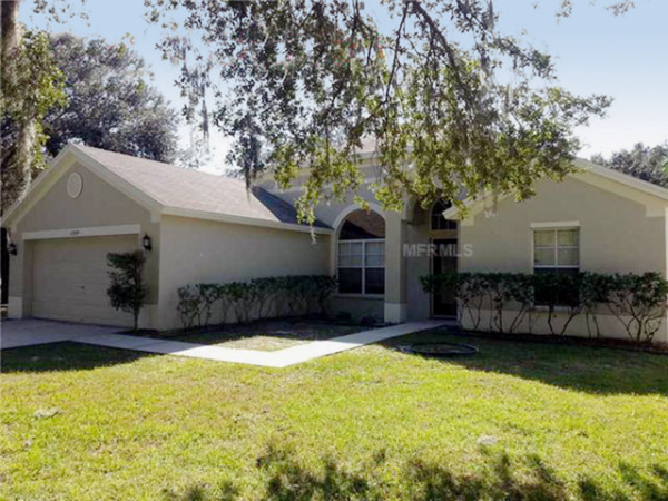 13509 STAGHORN RD, Tampa, FL 13509 