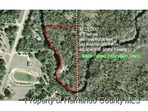 0 LACOOCHEE CLAY SINK, Lacoochee, FL 33537 