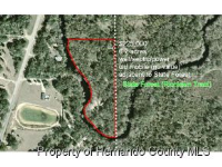 0 LACOOCHEE CLAY SINK, Lacoochee, FL 33537 