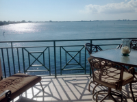 4850 Osprey Drive S #403, Saint Petersburg, FL 33711 