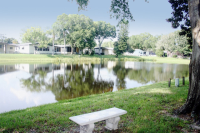 1001 STARKEY RD #183, Largo, FL 33771 