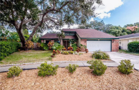 30 REGIS CIR, Palm Harbor, FL 34683 