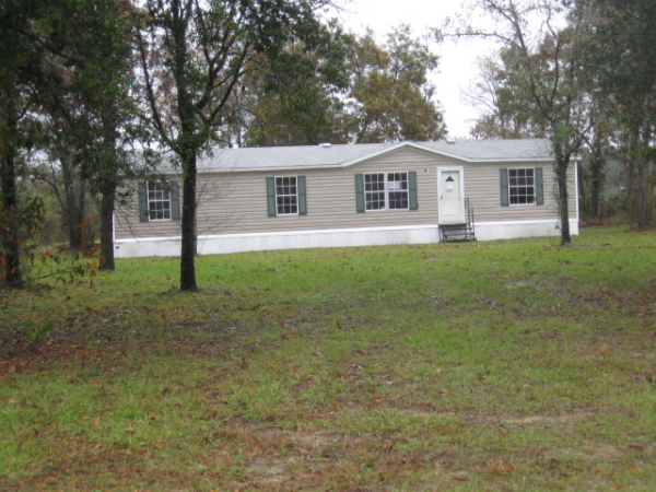 4560 Crazy Horse Ave, Middleburg, FL 32068 