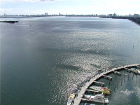 1717 N BAYSHORE DR # A1933, Miami, Florida 33132 