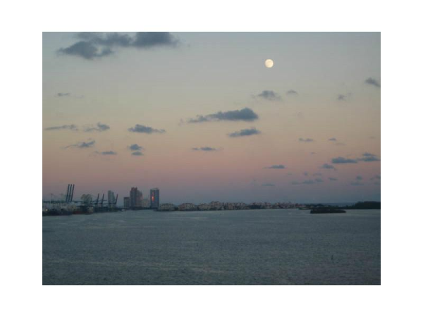 1450 BRICKELL BAY DR # 1701, Miami, Florida 33131 