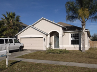 4517 Mapletree Loop, Wesley Chapel, FL 33544 