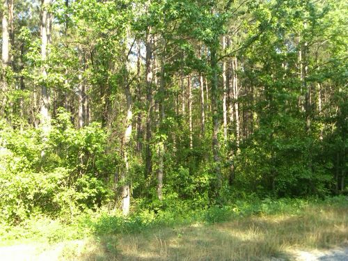 13 UPPER RIVER RD, GRAY, GA 31032 
