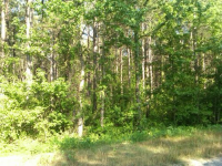 13 UPPER RIVER RD, GRAY, GA 31032 
