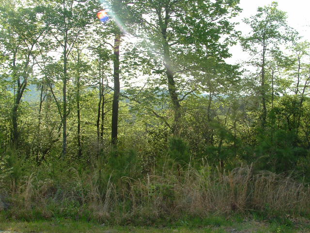 LOT 20 EE KINGWOOD ESTATES, CLAYTON, GA 30525 