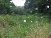 1285 Memorial Drive, Lot 2, ATLANTA, GA 30310 