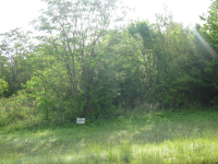 LOT NO 2 3 AND 4 THE GROVES, TENILLE, GA 31089 