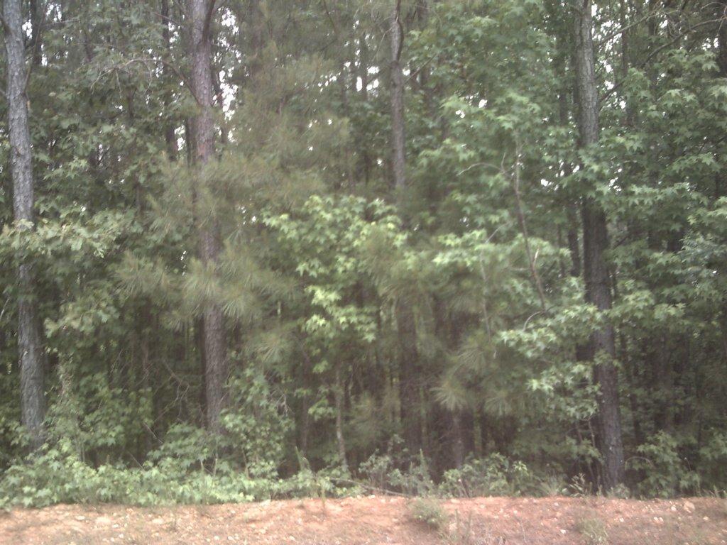 0 WEAVER JONES, RUTLEDGE, GA 30663 