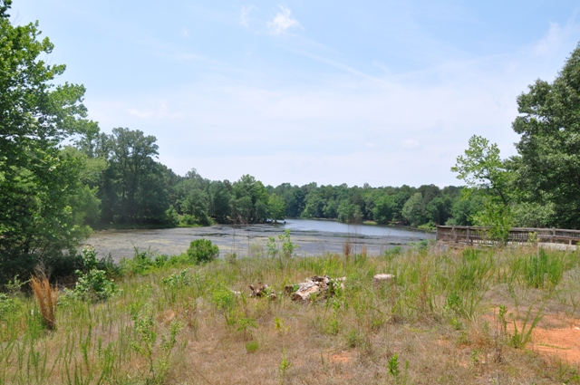 2284 LIPSCOMB LAKE RD, TRACT 3, PENDERGRASS, GA 30567 