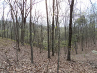 PHASE 7 LOT 3, RISING FAWN, GA 30738 
