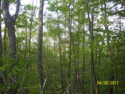 PHASE 10 LOT 35, RISING FAWN, GA 30738 