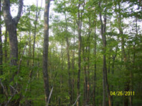 PHASE 10 LOT 35, RISING FAWN, GA 30738 