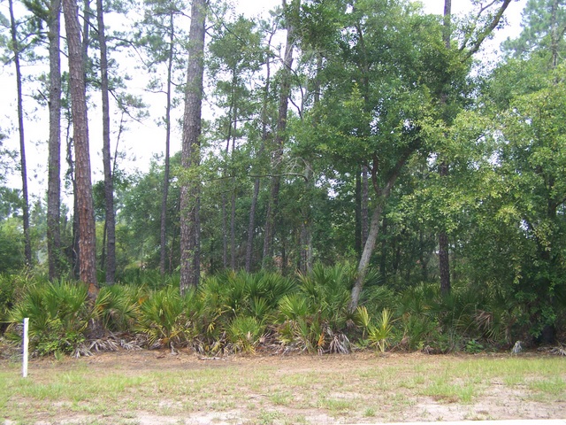 LOT 757, ST MARYS, GA 31558 