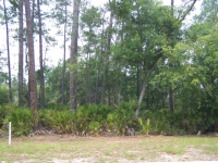 LOT 757, ST MARYS, GA 31558 