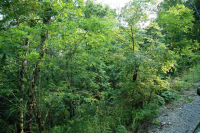 LOT 15  PHASE 10, RISING FAWN, GA 30738 