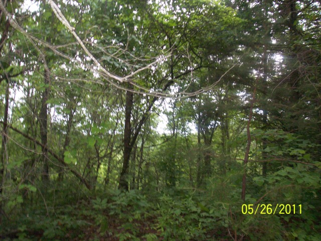 LOT 1808 RIVER TOP RD, TALKING ROCK, GA 30175 