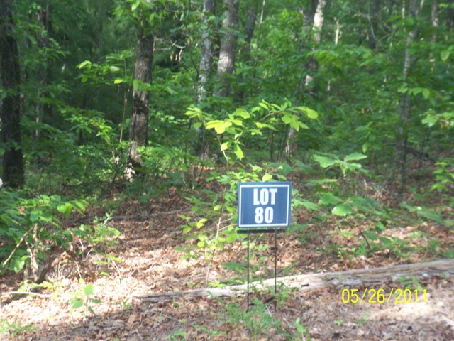 LOT 80 COLDWATER CREEK, MINERAL BLUFF, GA 30559 