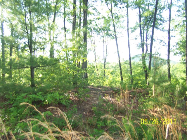 LOT 26 HIDDEN VALLEY, MINERAL BLUFF, GA 30559 