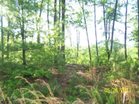 LOT 26 HIDDEN VALLEY, MINERAL BLUFF, GA 30559 