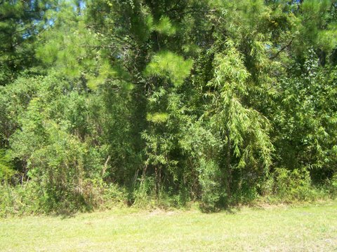 LOT 51 TUSCAN LANDING, WAVERLY, GA 31565 