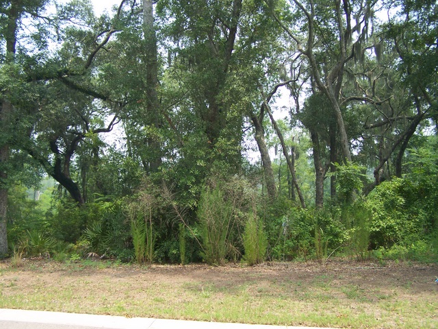 LOT 681 CUMBERLAND H, ST MARYS, GA 31558 
