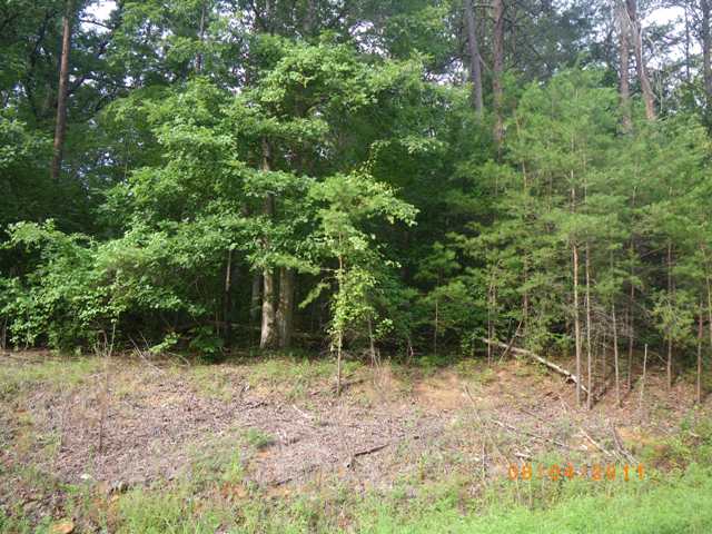 517 GOODSON ROAD, DAWNSONVILLE, GA 30534 