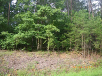 517 GOODSON ROAD, DAWNSONVILLE, GA 30534 