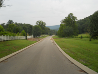 2974  NEWSOME GAP RD LOT 5, RISING FAWN, GA 30738 