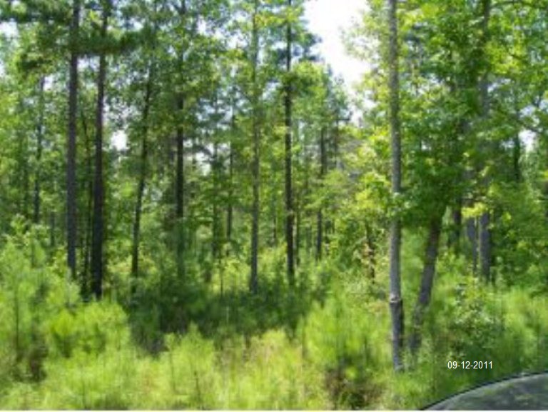 LOT 80  STILLWATER CO, LINCOLNTON, GA 30817 