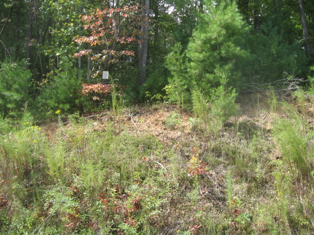 LOT 122 THE PRESERVE, ELLIJAY, GA 30540 