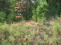 LOT 122 THE PRESERVE, ELLIJAY, GA 30540 