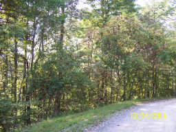 CARTER LAKE TRACK 2, ELLIJAY, GA 30540 