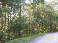 CARTER LAKE TRACK 2, ELLIJAY, GA 30540 