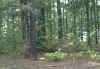 1081  SIMMONS BRIDGE RD, GREENSBORO, GA 30642 