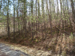 LOT 1100 CEDAR RIDGE, RANGER, GA 30734 