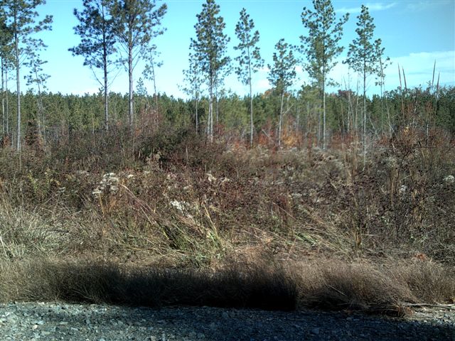 LOT 16 LISA WOODS LN, EATONTON, GA 31024 
