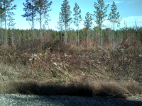 LOT 16 LISA WOODS LN, EATONTON, GA 31024 