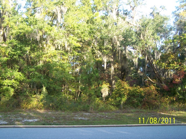 4 BICE CT, WAVERLY, GA 31565 