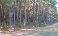 LOT 19  TUSCAN LANDING, WAVERLY, GA 31565 
