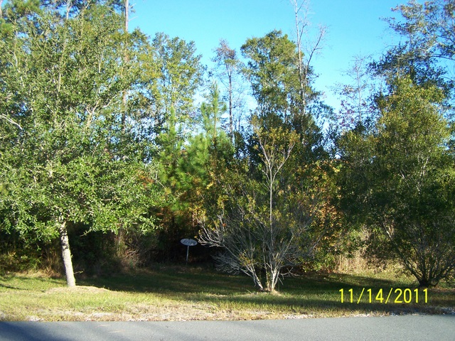 LOT 100 TUSCAN LANDING, WAVERLY, GA 31565 