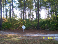 61  LONE PINE COURT LOT, WAVERLY, GA 31565 