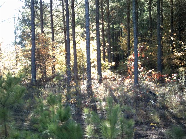 LOT 01 LISA WOODS LN, EATONTON, GA 31024 