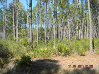 Grey Hawk Rd Lot 37, MANOR, GA 31503 