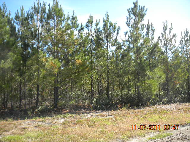 LOT 7 MILLWOOD PLANT, MANOR, GA 31550 