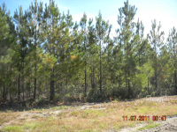 LOT 7 MILLWOOD PLANT, MANOR, GA 31550 